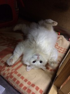 Олеся